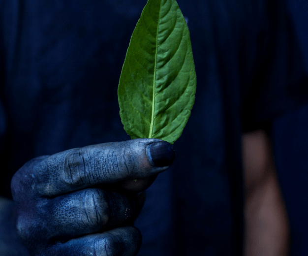 藍師・染師「BUAISOU」のイメージ画像