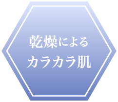 “乾燥によるカラカラ肌