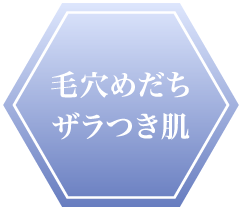 “毛穴めだちザラつき肌