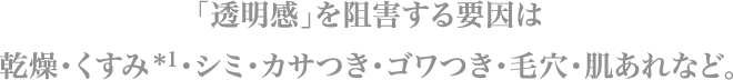 「透明感」を阻害する要因は乾燥・くすみ＊1・シミ・カサつき・ゴワつき・毛穴・肌あれなど。