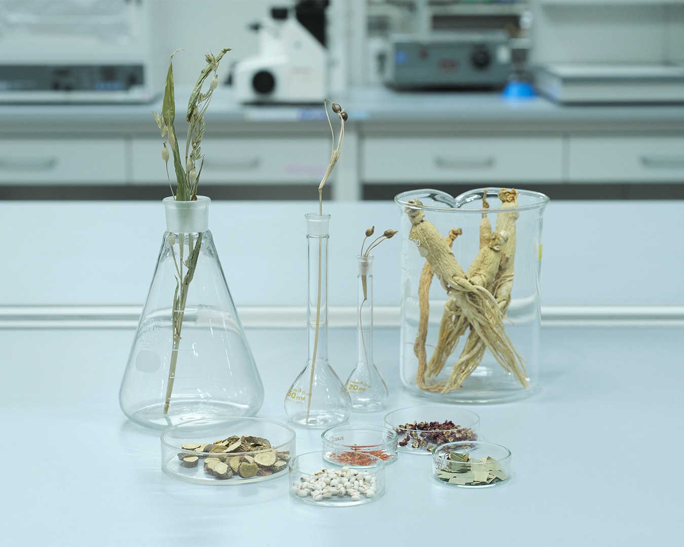 美しさの鍵を握る「３つの巡り」