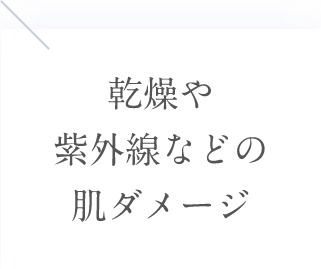 乾燥や紫外線などの肌ダメージ