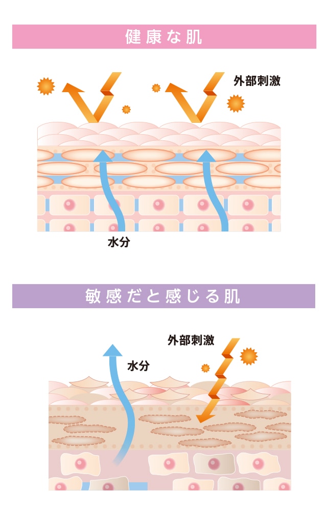 健康な肌のイメージ